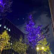 ヒメ日記 2025/11/03 23:11 投稿 みおな 京都祇園・南インターちゃんこ