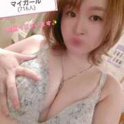 ヒメ日記 2025/04/13 14:15 投稿 中村ゆうき 京都ホットポイント