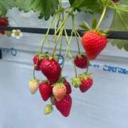 ヒメ日記 2025/03/19 21:17 投稿 にいな 町田ギャルの宅急便