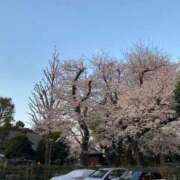 ヒメ日記 2025/04/17 02:00 投稿 あいり えちちSPA-えっちな回春性感マッサージ-五反田店