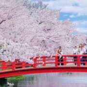 ヒメ日記 2025/04/29 23:45 投稿 あいり えちちSPA-えっちな回春性感マッサージ-五反田店