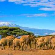 ヒメ日記 2025/05/18 15:00 投稿 あいり えちちSPA-えっちな回春性感マッサージ-五反田店