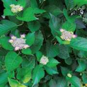 ヒメ日記 2025/05/29 19:06 投稿 あいり えちちSPA-えっちな回春性感マッサージ-五反田店