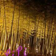 ヒメ日記 2024/12/22 17:51 投稿 りり 快楽夫人