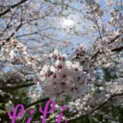 ヒメ日記 2025/04/11 13:46 投稿 りり 快楽夫人