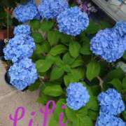 ヒメ日記 2025/06/08 00:15 投稿 りり 快楽夫人