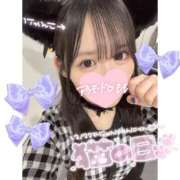 ヒメ日記 2025/02/22 08:11 投稿 もも アラモード