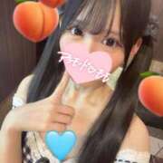 ヒメ日記 2025/09/12 08:45 投稿 もも アラモード