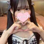 ヒメ日記 2025/09/28 08:10 投稿 もも アラモード