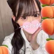 ヒメ日記 2025/12/12 00:04 投稿 もも アラモード