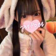 ヒメ日記 2025/12/14 08:05 投稿 もも アラモード