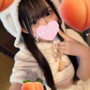 ヒメ日記 2025/12/16 07:45 投稿 もも アラモード