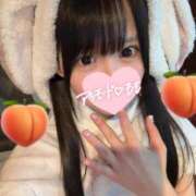 ヒメ日記 2025/12/19 08:34 投稿 もも アラモード