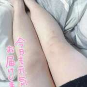 ヒメ日記 2025/02/06 11:01 投稿 りおな サンキュー沼津店（サンキューグループ）