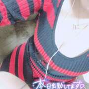 ヒメ日記 2025/03/12 10:02 投稿 りおな サンキュー沼津店（サンキューグループ）