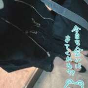 ヒメ日記 2025/04/10 12:21 投稿 りおな サンキュー沼津店（サンキューグループ）