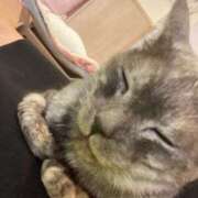 ヒメ日記 2025/08/08 23:11 投稿 りおな サンキュー沼津店（サンキューグループ）