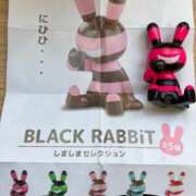 ヒメ日記 2026/02/17 12:13 投稿 りおな サンキュー沼津店（サンキューグループ）