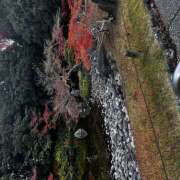 ヒメ日記 2025/12/02 08:08 投稿 ミサ King＆Princess