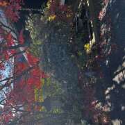 ヒメ日記 2025/12/16 13:06 投稿 ミサ King＆Princess