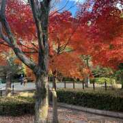 ヒメ日記 2025/12/21 13:08 投稿 ミサ King＆Princess