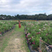 ヒメ日記 2025/03/15 19:36 投稿 アズサ King＆Princess