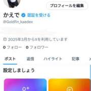 ヒメ日記 2025/03/17 12:13 投稿 かえで ゴールドフィンガー