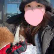 ヒメ日記 2025/01/02 15:04 投稿 める 桃李（とうり）