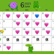 ヒメ日記 2025/05/30 16:35 投稿 める 桃李（とうり）