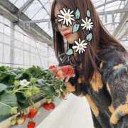 ヒメ日記 2025/02/24 23:16 投稿 あんじゅ 京都の痴女鉄道