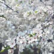 ヒメ日記 2025/04/20 10:06 投稿 あんじゅ 京都の痴女鉄道