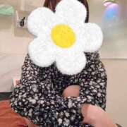 ヒメ日記 2025/04/27 09:06 投稿 あんじゅ 京都の痴女鉄道