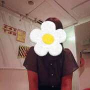 ヒメ日記 2025/05/29 14:36 投稿 あんじゅ 京都の痴女鉄道