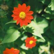 ヒメ日記 2025/06/02 08:56 投稿 あんじゅ 京都の痴女鉄道