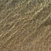 ヒメ日記 2025/06/18 19:10 投稿 あんじゅ 京都の痴女鉄道