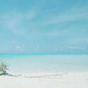 ヒメ日記 2025/06/19 06:36 投稿 あんじゅ 京都の痴女鉄道