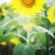 ヒメ日記 2025/08/22 19:26 投稿 あんじゅ 京都の痴女鉄道