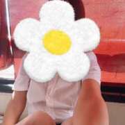 ヒメ日記 2025/09/02 09:56 投稿 あんじゅ 京都の痴女鉄道