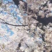 ヒメ日記 2026/04/03 18:26 投稿 あんじゅ 京都の痴女鉄道