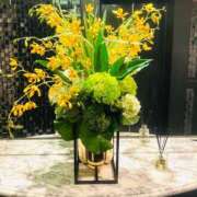 ヒメ日記 2024/12/21 11:57 投稿 みいな 秘密倶楽部 凛 船橋本店