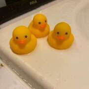 ヒメ日記 2025/04/14 23:37 投稿 みいな 秘密倶楽部 凛 船橋本店