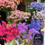 ヒメ日記 2025/04/22 23:11 投稿 みいな 秘密倶楽部 凛 船橋本店