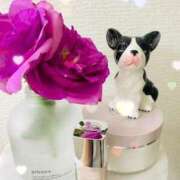 ヒメ日記 2025/07/22 02:07 投稿 みいな 秘密倶楽部 凛 船橋本店