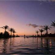 ヒメ日記 2026/04/19 03:13 投稿 みいな 秘密倶楽部 凛 船橋本店