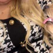 ヒメ日記 2026/03/03 19:41 投稿 もんろう キラキラ大阪