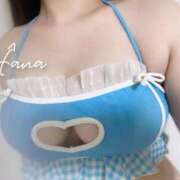 ヒメ日記 2024/12/09 14:44 投稿 はな ちゃんこ本厚木店