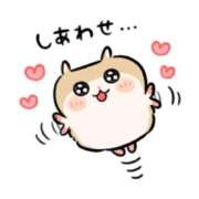 ヒメ日記 2025/08/26 11:37 投稿 はな ちゃんこ本厚木店