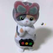 はな 次回出勤♡ ちゃんこ本厚木店