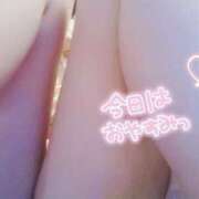 ヒメ日記 2024/12/20 11:23 投稿 みき 男爵