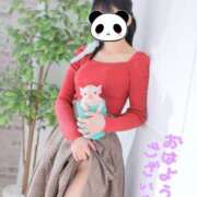 ヒメ日記 2025/01/25 07:20 投稿 みき 男爵